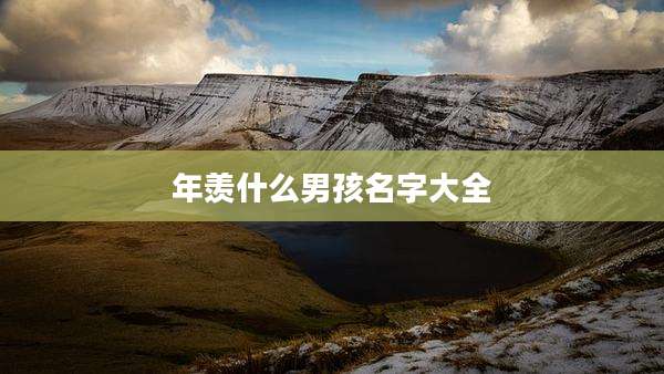 年羡什么男孩名字大全