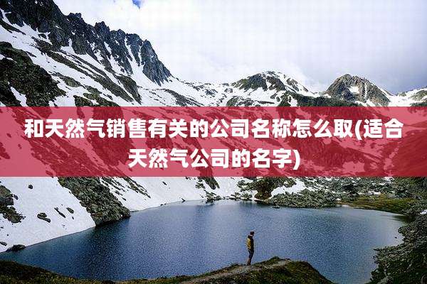 和天然气销售有关的公司名称怎么取(适合天然气公司的名字)