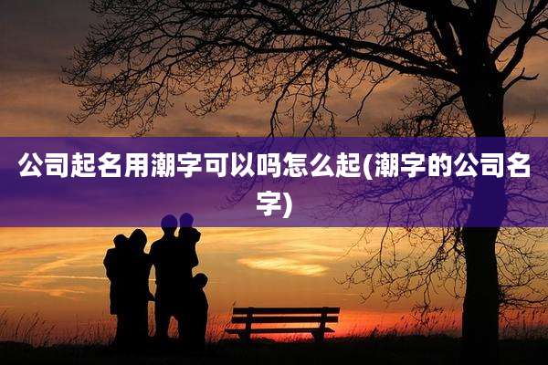 公司起名用潮字可以吗怎么起(潮字的公司名字)