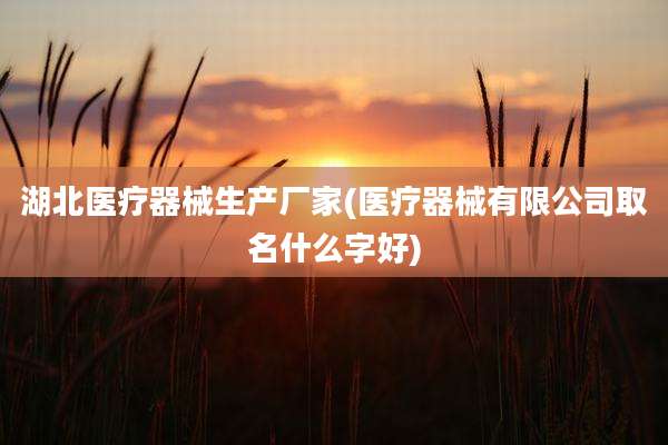 湖北医疗器械生产厂家(医疗器械有限公司取名什么字好)