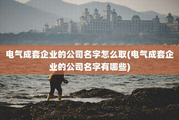 电气成套企业的公司名字怎么取(电气成套企业的公司名字有哪些)