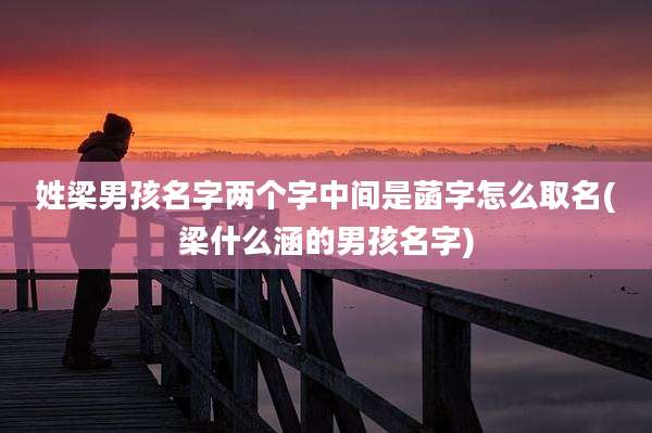 姓梁男孩名字两个字中间是菡字怎么取名(梁什么涵的男孩名字)