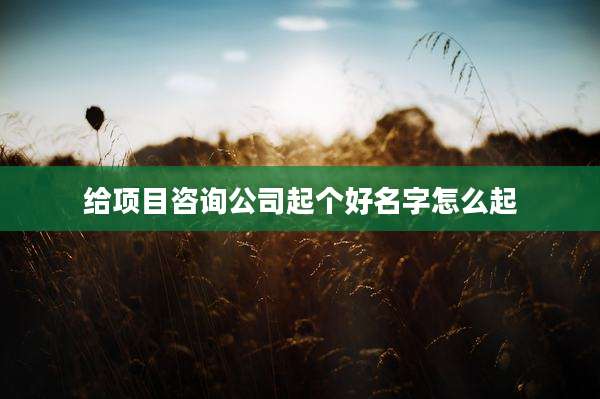 给项目咨询公司起个好名字怎么起