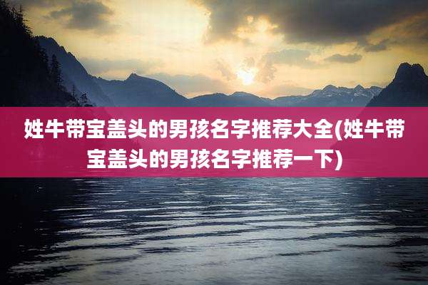 姓牛带宝盖头的男孩名字推荐大全(姓牛带宝盖头的男孩名字推荐一下)