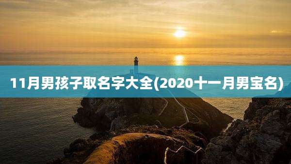 11月男孩子取名字大全(2020十一月男宝名)
