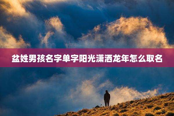 盆姓男孩名字单字阳光潇洒龙年怎么取名