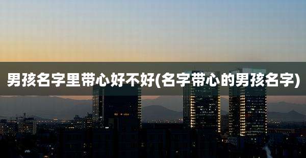 男孩名字里带心好不好(名字带心的男孩名字)