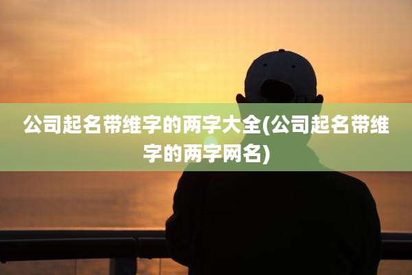 公司起名带维字的两字大全(公司起名带维字的两字网名)