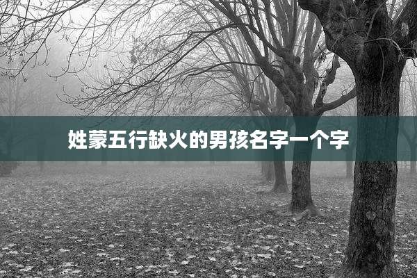 姓蒙五行缺火的男孩名字一个字