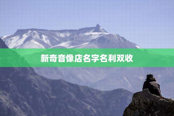 新奇音像店名字名利双收