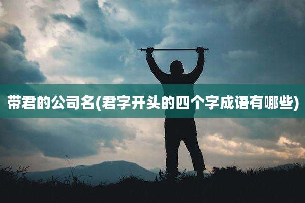 带君的公司名(君字开头的四个字成语有哪些)
