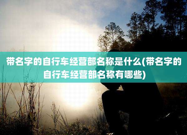 带名字的自行车经营部名称是什么(带名字的自行车经营部名称有哪些)