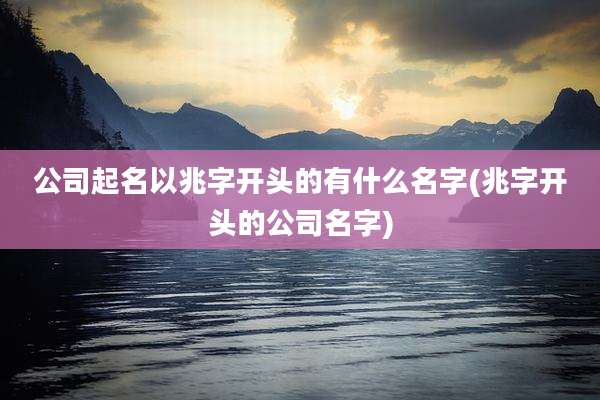 公司起名以兆字开头的有什么名字(兆字开头的公司名字)