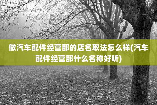 做汽车配件经营部的店名取法怎么样(汽车配件经营部什么名称好听)