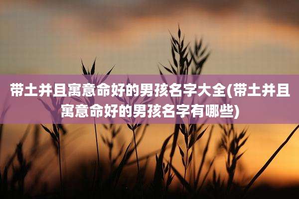 带土并且寓意命好的男孩名字大全(带土并且寓意命好的男孩名字有哪些)