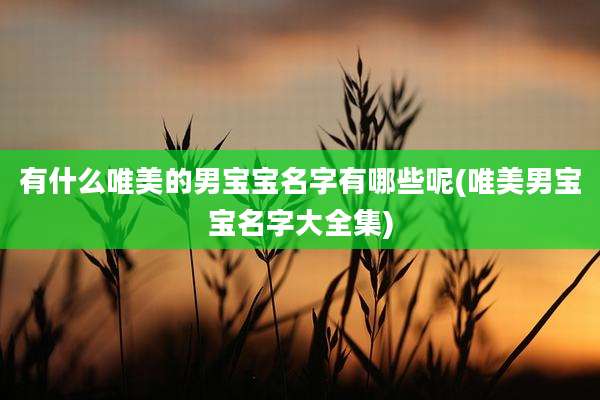 有什么唯美的男宝宝名字有哪些呢(唯美男宝宝名字大全集)