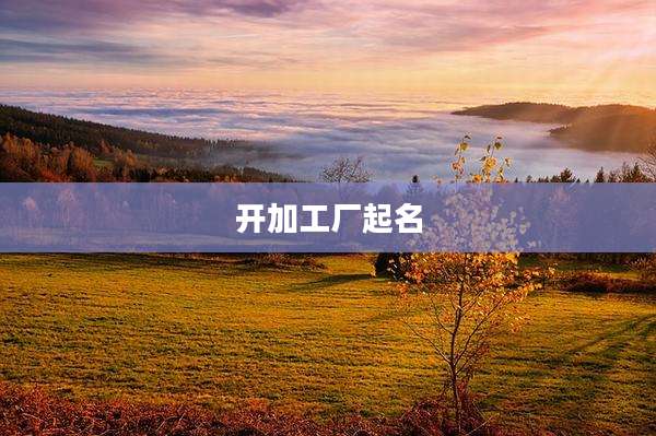 开加工厂起名