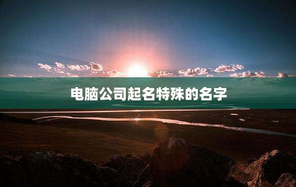 电脑公司起名特殊的名字