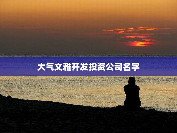 大气文雅开发投资公司名字
