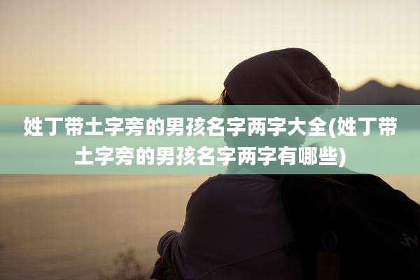 姓丁带土字旁的男孩名字两字大全(姓丁带土字旁的男孩名字两字有哪些)