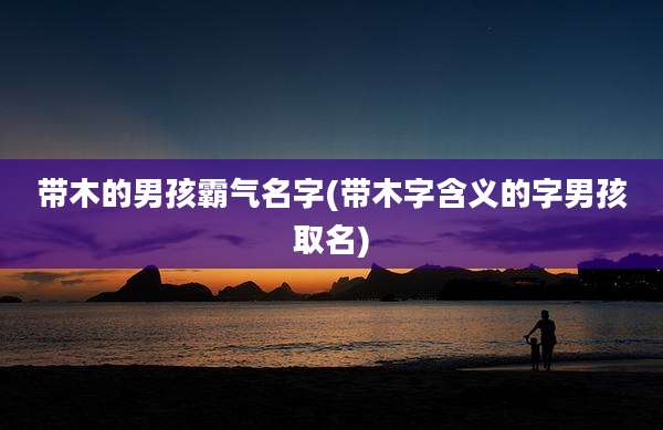 带木的男孩霸气名字(带木字含义的字男孩取名)