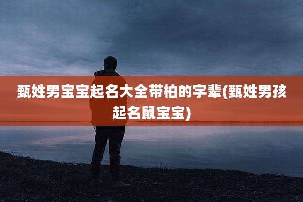甄姓男宝宝起名大全带柏的字辈(甄姓男孩起名鼠宝宝)