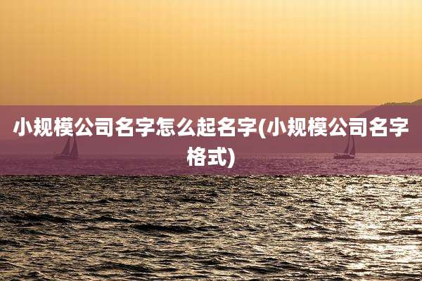 小规模公司名字怎么起名字(小规模公司名字格式)