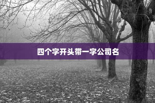 四个字开头带一字公司名