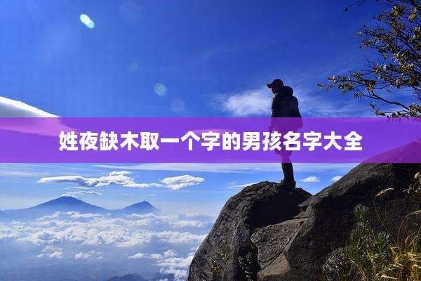 姓夜缺木取一个字的男孩名字大全