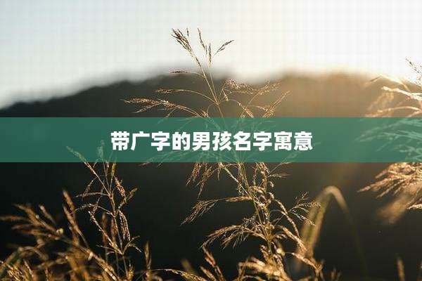 带广字的男孩名字寓意