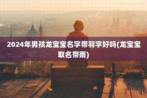 2024年男孩龙宝宝名字带羽字好吗(龙宝宝取名带雨)