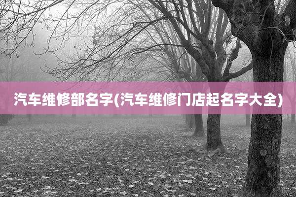 汽车维修部名字(汽车维修门店起名字大全)