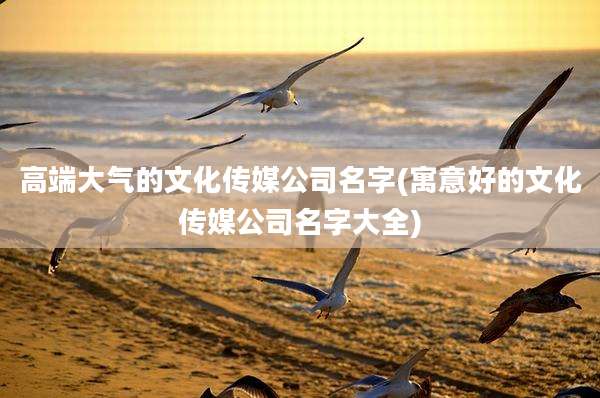 高端大气的文化传媒公司名字(寓意好的文化传媒公司名字大全)