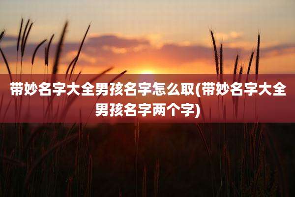 带妙名字大全男孩名字怎么取(带妙名字大全男孩名字两个字)