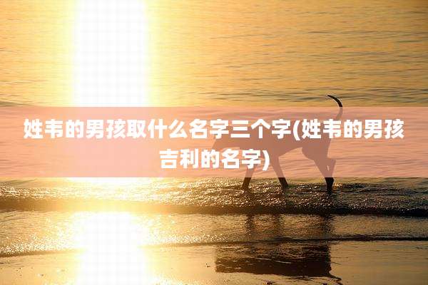 姓韦的男孩取什么名字三个字(姓韦的男孩吉利的名字)