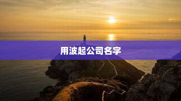 用波起公司名字