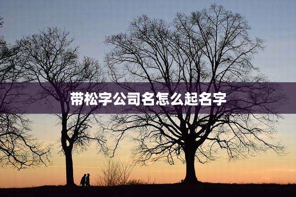带松字公司名怎么起名字