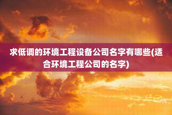 求低调的环境工程设备公司名字有哪些(适合环境工程公司的名字)