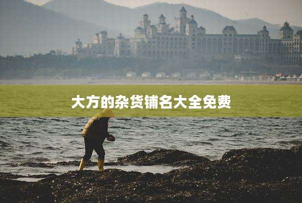 大方的杂货铺名大全免费