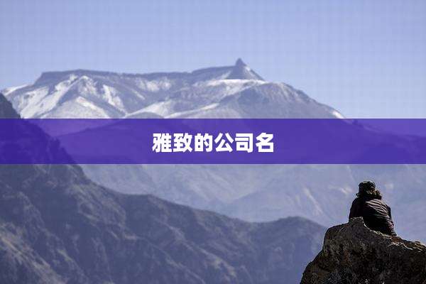 雅致的公司名