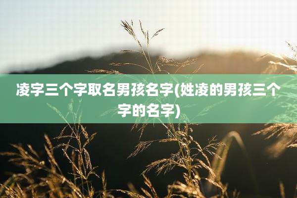 凌字三个字取名男孩名字(姓凌的男孩三个字的名字)