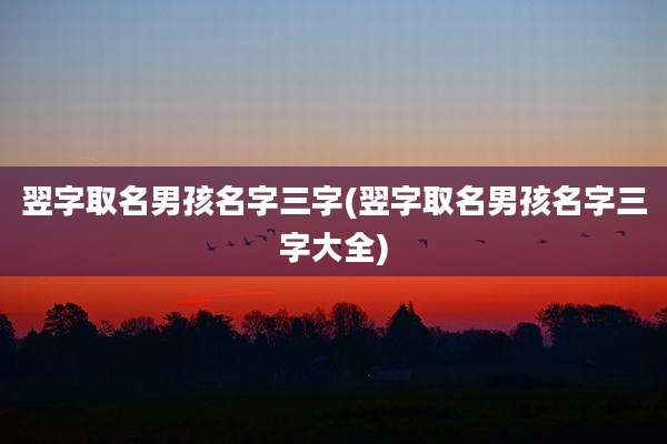 翌字取名男孩名字三字(翌字取名男孩名字三字大全)