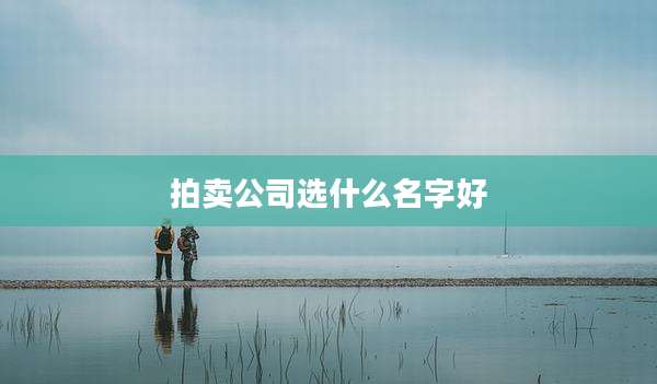 拍卖公司选什么名字好