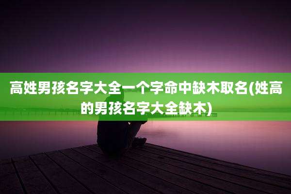 高姓男孩名字大全一个字命中缺木取名(姓高的男孩名字大全缺木)