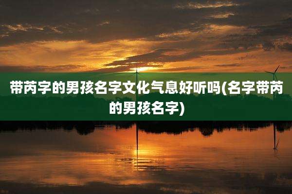 带芮字的男孩名字文化气息好听吗(名字带芮的男孩名字)