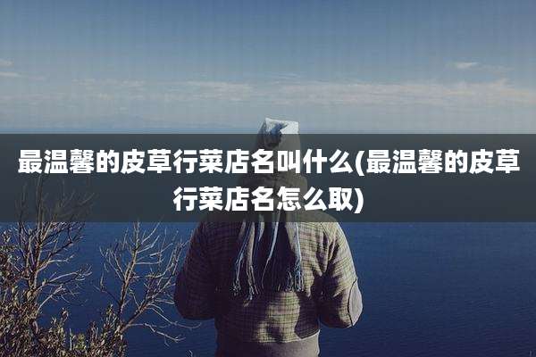 最温馨的皮草行菜店名叫什么(最温馨的皮草行菜店名怎么取)