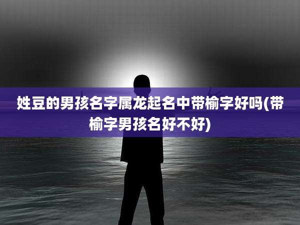 姓豆的男孩名字属龙起名中带榆字好吗(带榆字男孩名好不好)