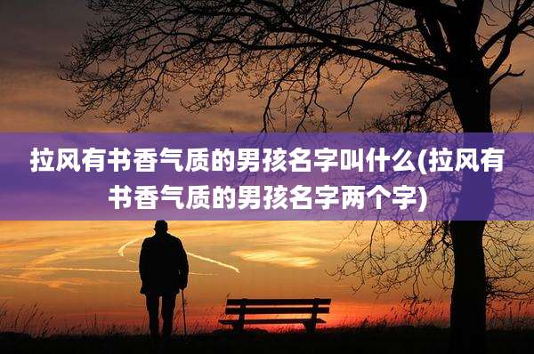 拉风有书香气质的男孩名字叫什么(拉风有书香气质的男孩名字两个字)