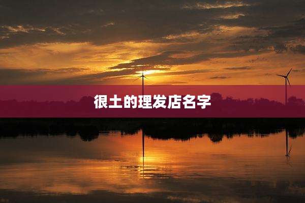 很土的理发店名字