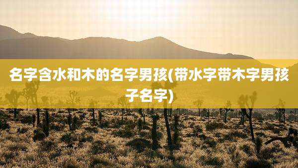 名字含水和木的名字男孩(带水字带木字男孩子名字)